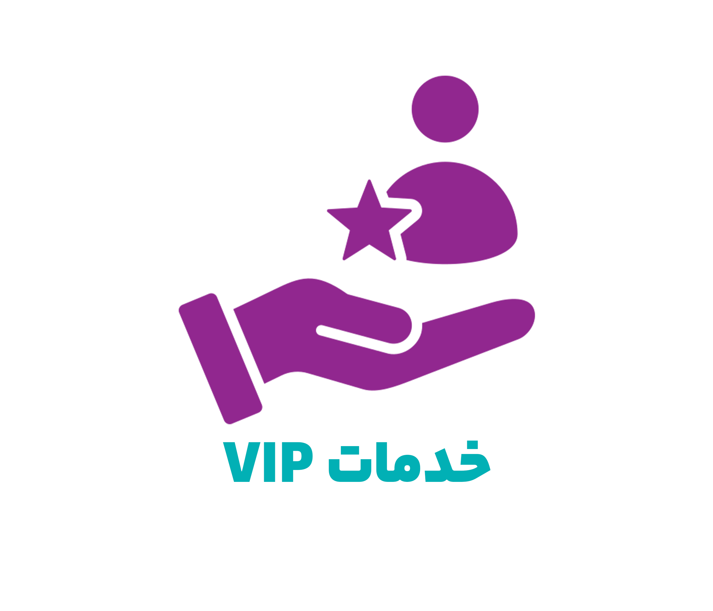 خدمات VIP تیسفون تراول